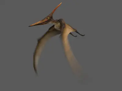  Pteranodon Longiceps Animated 