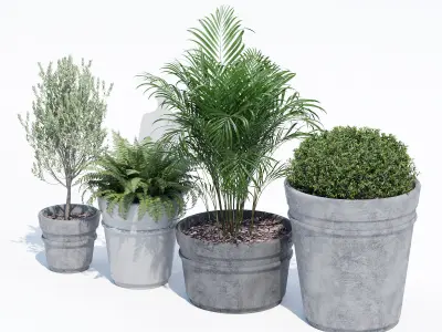 Reale planter 3D model