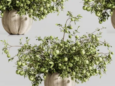  apple bouquet plants bouquet vase 34 3D model