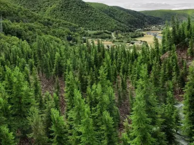 Wood System Low-poly 3D model