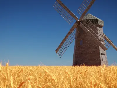 Wheat Field 3D model