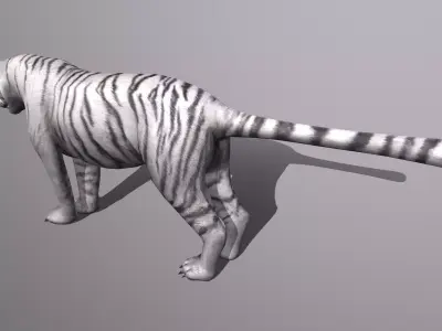 tiger Low-poly 3D model
