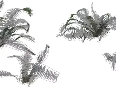 Realistic Fern Plant 3D Model Pack  Low-poly 3D model