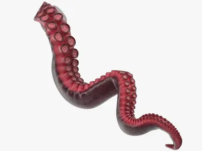  Octopus Tentacle Rigged for Cinema 4D 