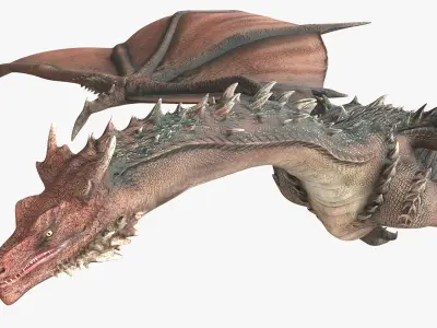  Fantasy Dragon Animated Rigged For Maya Collection 