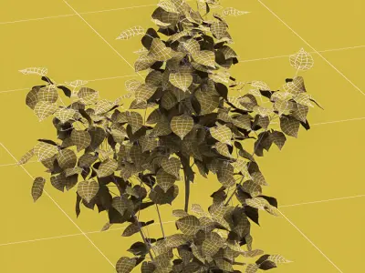 Landscaping kit with American linden  3D model