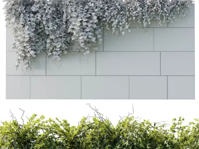 ivy hanging from the wall - outdoor plants set 173  3D model