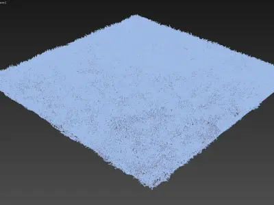 Carpets 19 3D model