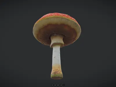 Fly Agaric 2 Low-poly 3D model