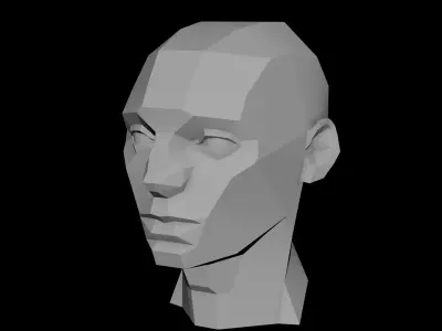 Planes of the Head - Male Asaro model 3D model