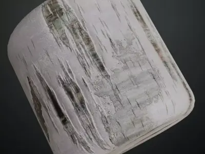 Natural White Birch Tree Bark PBR Seamless Texture