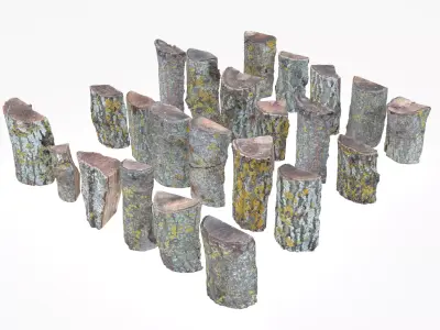 Wood Scan Pack Low-poly 3D model