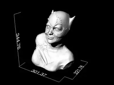 Catwoman Buste 3D print model