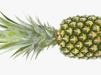  Ultra Detailed Pineapple 