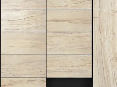 Yurtbay Seramik Lagun Beige 250x500 Set 1 3D model
