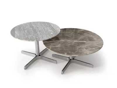 DS 343 61 and DS 343 62 Coffee Tables 3D model