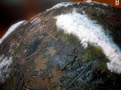 4k PBR Texture Of Snowy Moss Texture