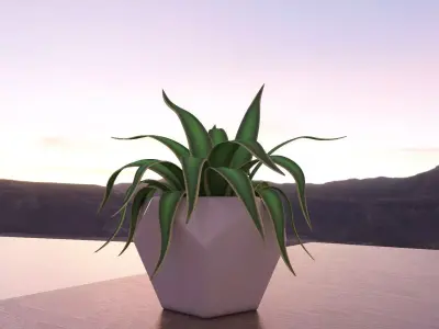 Green plant in a blue pot  3D model