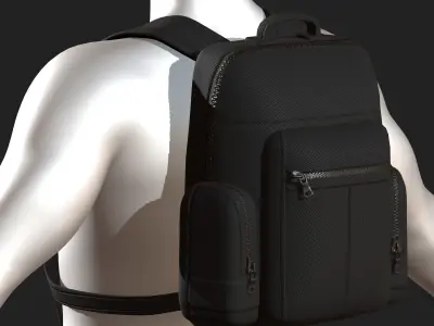 Backpack bag baggage Color 3d low poly Low-poly  Low-poly 3D model 2