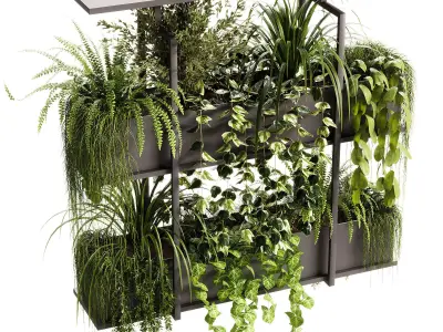 Indoor Plants - 23  Hanging plants 3D model