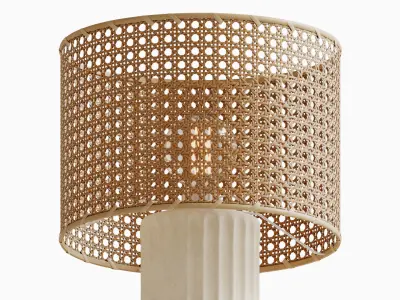 Cane Lamp Shade 3D model