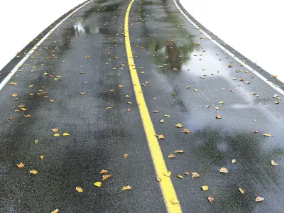 Wet road with markings 3D model