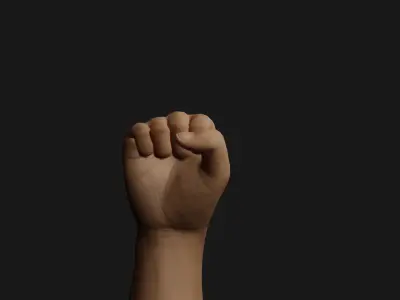 Male Right Hand Rigged Low-poly 3D model