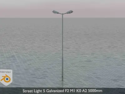 Street Light 5 Galvanized F2 M1 K0 A2 5000mm Low-poly 3D model
