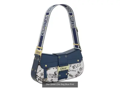 Dior Street Chic Bag 3D Model Pack