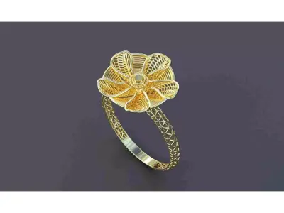 50 ring turkish pakistani ring jali design ring 3D print model
