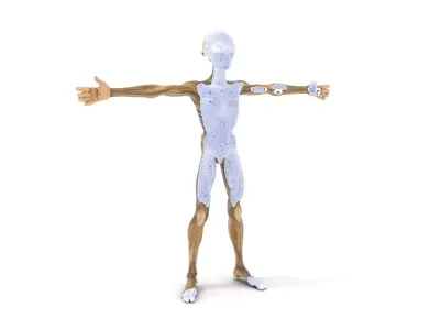 Alien Skeletal Figure model pack Low-poly 3D model