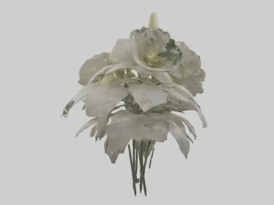 Moonflower model 3D model