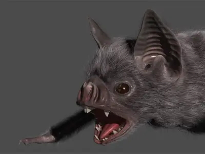  Vampire Bat 