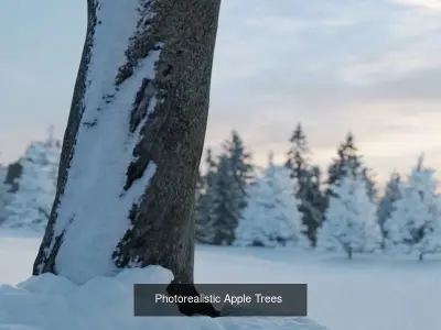 Photorealistic Snowy Apple Trees 3D Model Pack