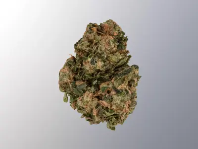 Marijuana Flower 3 3D model