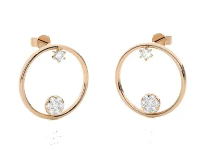 Light wt Women Diamond Earrings  3D print model