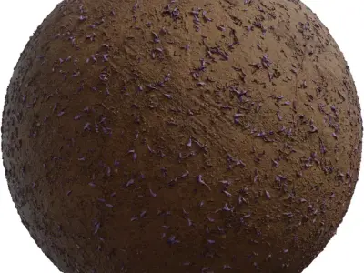 Jacaranda Petals on Dry Soil PBR Texture Texture