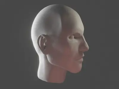 Male Head Sculpt Highpoly 3D model