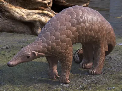  African Mammals Rigged for Cinema 4D Collection 