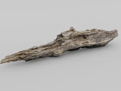 SCANNED BROKEN LOG Low-poly 3D model
