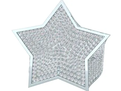 Star Mens Ring-799 3D print model