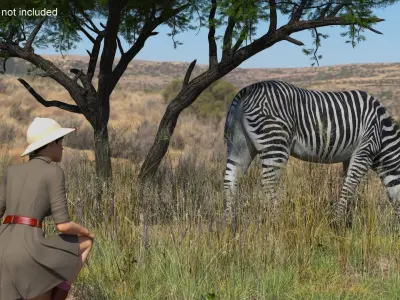  Explorer and Zebra Fur 