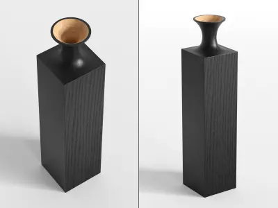 Tasso Vases 3D model