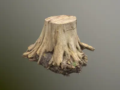 Big Tree Stump Low-poly 3D model