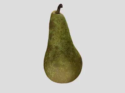 A pear fruit 3D model