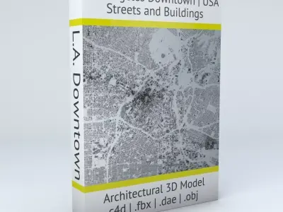 Los Angeles Downtown Streets and Buildings 3D model