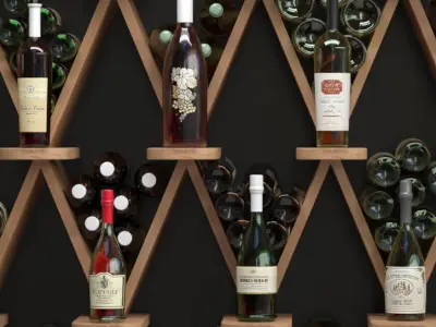 Alcoholic showcase 5 3D model