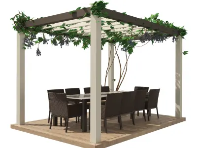 Modern pergola with climber grapevine 3d model 3D model