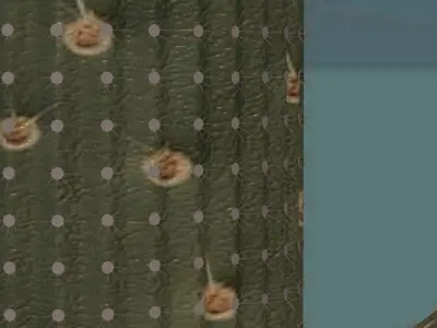 Cactus In Desert 3D model