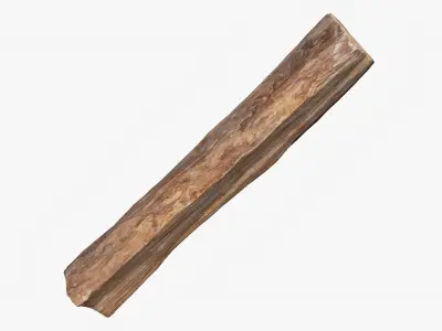  Scanned Trimmed Tree Wood Collection 